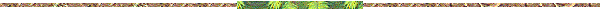 umidit1